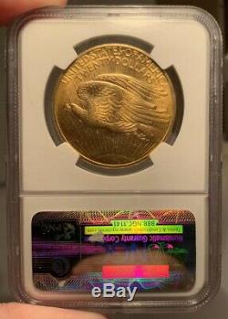 1908 $20 NGC MS 64+ CAC St. Gaudens Gold Double Eagle No Motto