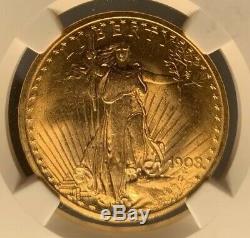1908 $20 NGC MS 64+ CAC St. Gaudens Gold Double Eagle No Motto