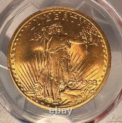 1908 $20 PCGS MS 66 CAC St. Gaudens Gold Double Eagle No Motto