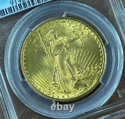 1908 NM $20 Saint Gaudens Gold PCGS MS64+ Double Eagle Coin, No Motto, PLUS