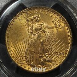 1924 $20 Twenty Dollar St Gaudens Gold Double Eagle PCGS MS 64