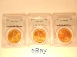Lot of 3 PCGS GEM MS65 MS 65 1924 St. Gaudens $20 Double Eagle Gold Coins PQ