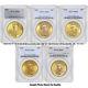 Lot of 5 $20 Saint Gaudens PCGS MS63 Gold Double Eagle Choice coins Random Year